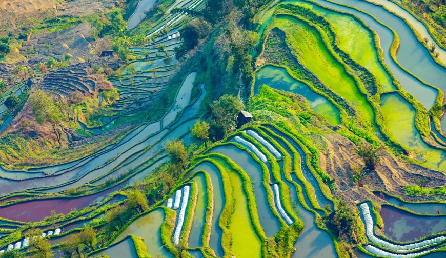 走进顺城区TVC拍摄：解锁本地化场景与创意镜头的完美融合